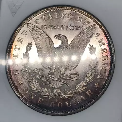 Morgan Silver Dollar (5)