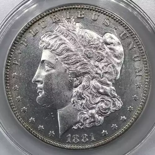 Morgan Silver Dollar (5)