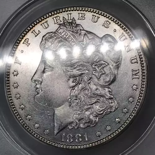 Morgan Silver Dollar (4)