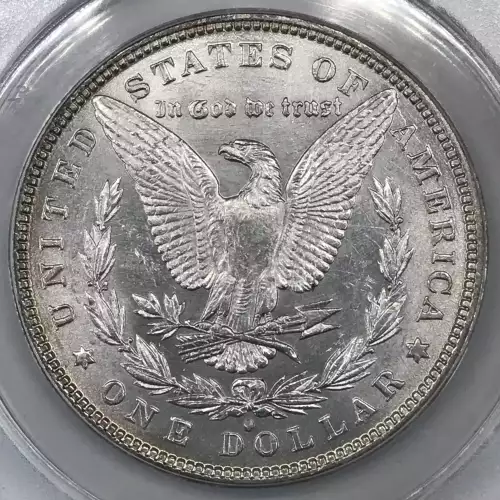 Morgan Silver Dollar (2)