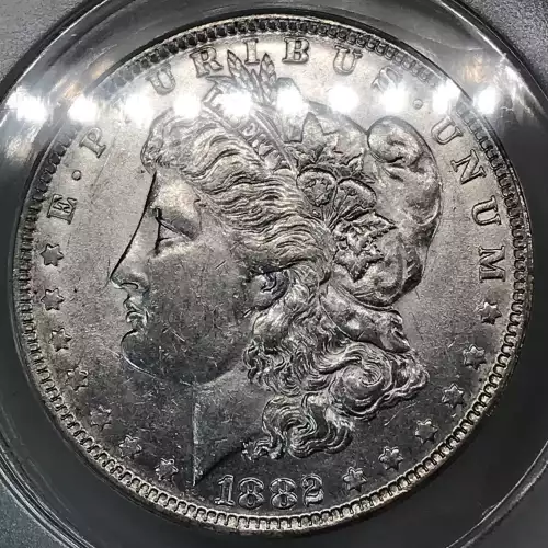 Morgan Silver Dollar (4)