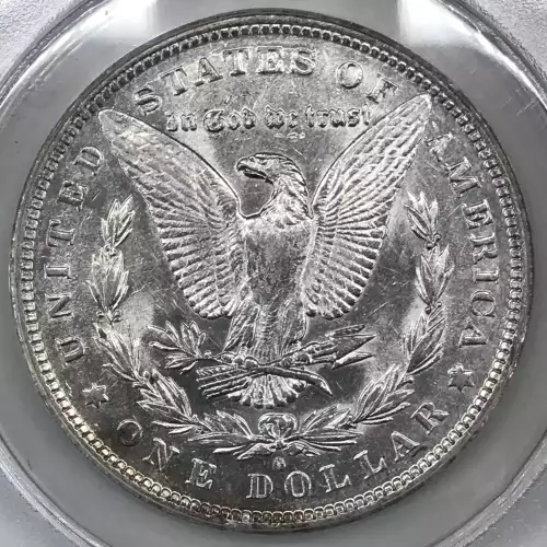 Morgan Silver Dollar (5)