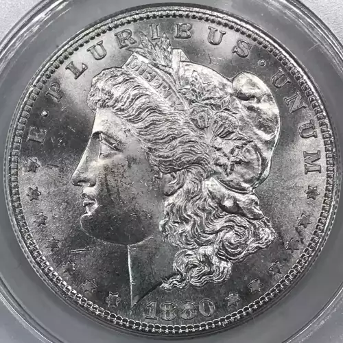Morgan Silver Dollar (5)
