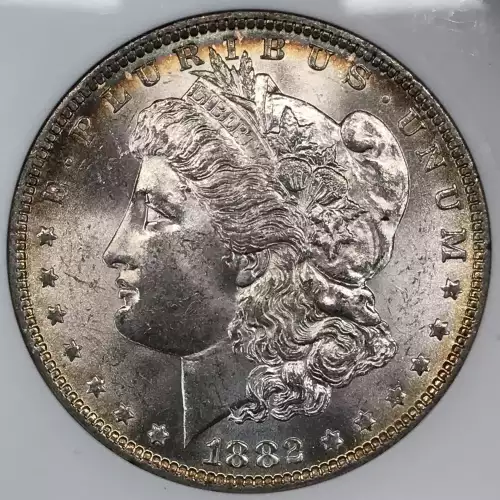 Morgan Silver Dollar (2)