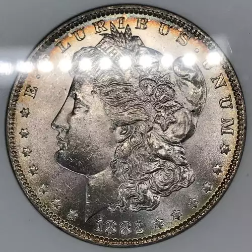 Morgan Silver Dollar (5)