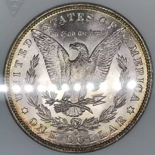 Morgan Silver Dollar (4)