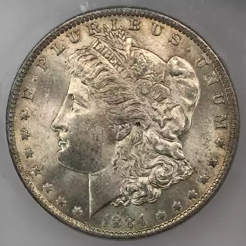Morgan Silver Dollar (2)