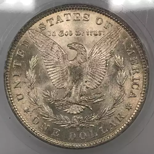 Morgan Silver Dollar (4)