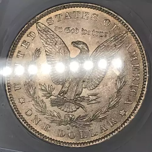 Morgan Silver Dollar (5)