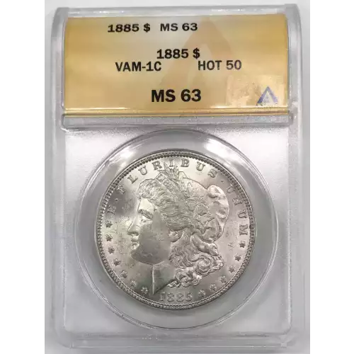Morgan Silver Dollar (2)