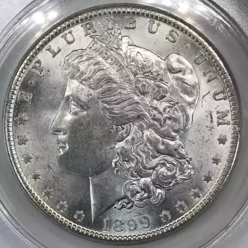 Morgan Silver Dollar (4)