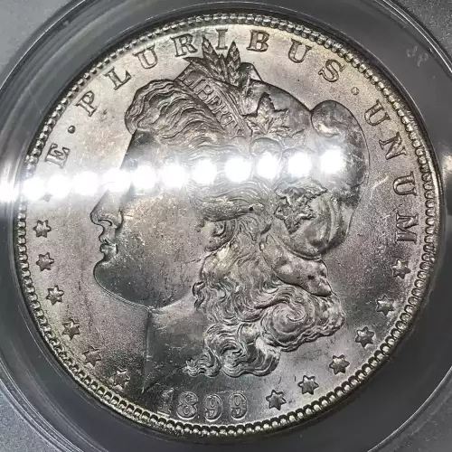 Morgan Silver Dollar (5)
