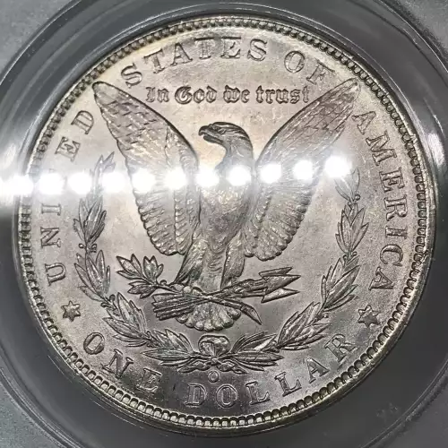 Morgan Silver Dollar (2)
