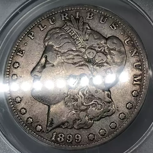Morgan Silver Dollar (4)