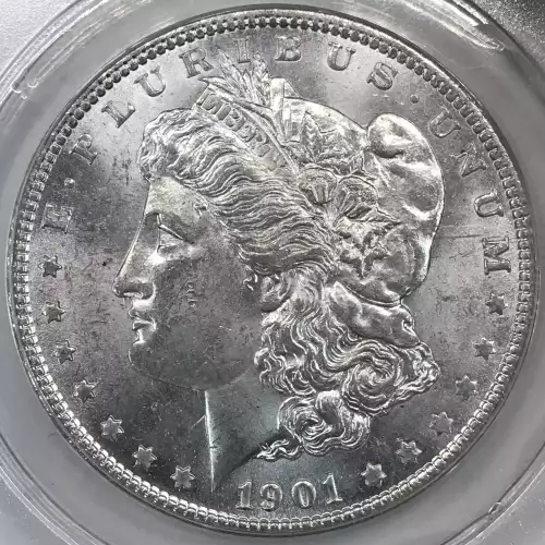 Morgan Silver Dollar (4)