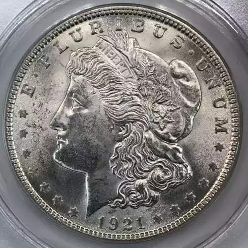 Morgan Silver Dollar (5)