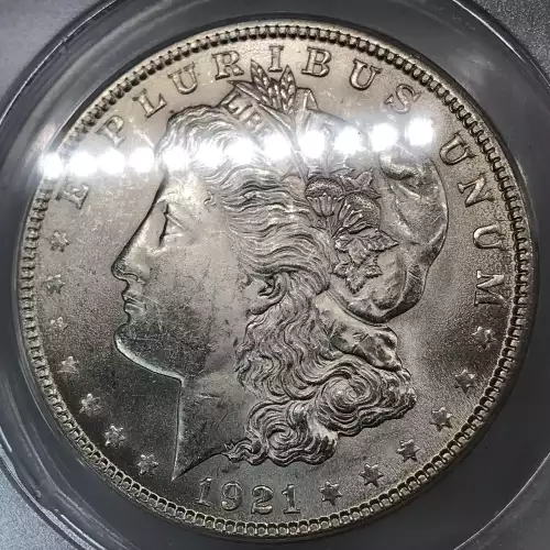 Morgan Silver Dollar (2)