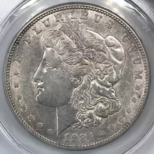 Morgan Silver Dollar (2)
