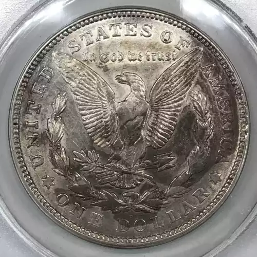 Morgan Silver Dollar (4)