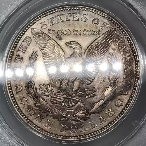 Morgan Silver Dollar (5)