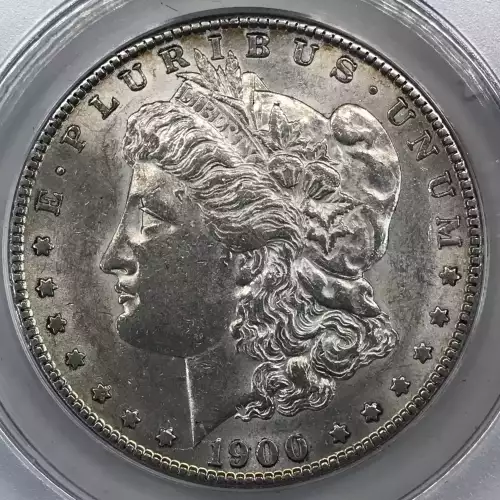 Morgan Silver Dollar (2)