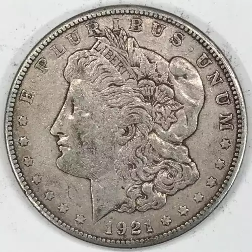 Morgan Silver Dollar (2)
