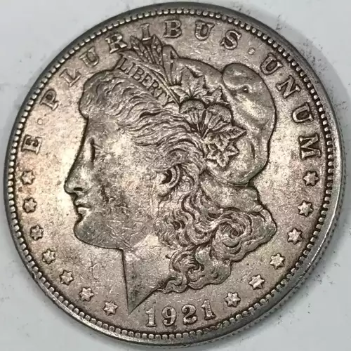 Morgan Silver Dollar (4)