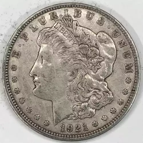 Morgan Silver Dollar (2)