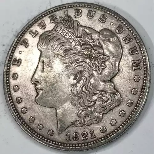 Morgan Silver Dollar (4)