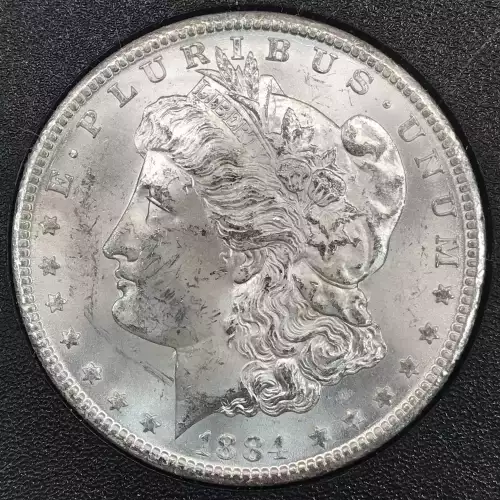 Morgan Silver Dollar (2)