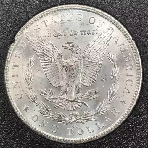 Morgan Silver Dollar (4)