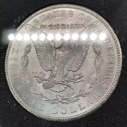 Morgan Silver Dollar (5)