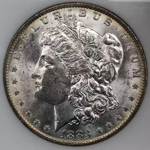 Morgan Silver Dollar (2)