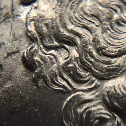 Morgan Silver Dollar (4)