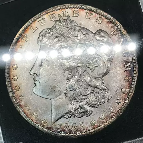 Morgan Silver Dollar (2)