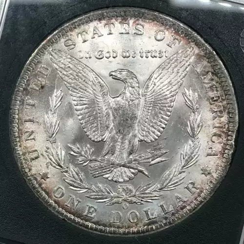 Morgan Silver Dollar (4)