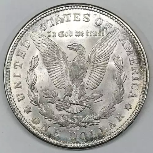 Morgan Silver Dollar (4)
