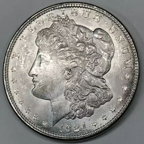 Morgan Silver Dollar (5)
