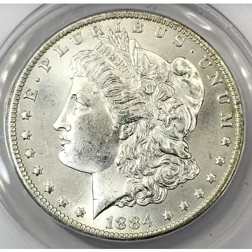 Morgan Silver Dollar (2)