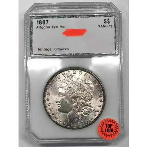 Morgan Silver Dollar
