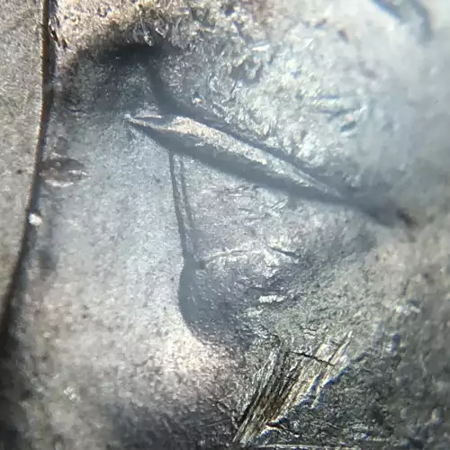 Morgan Silver Dollar (2)