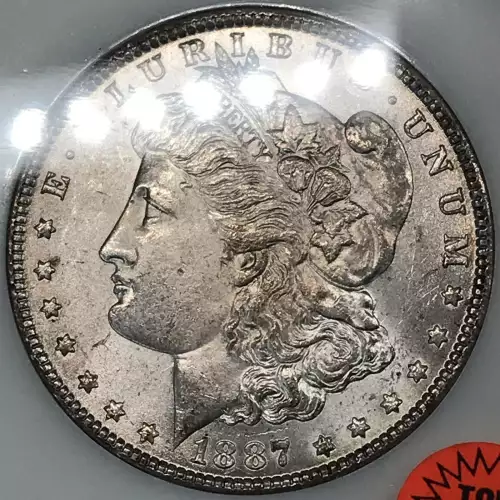 Morgan Silver Dollar (4)