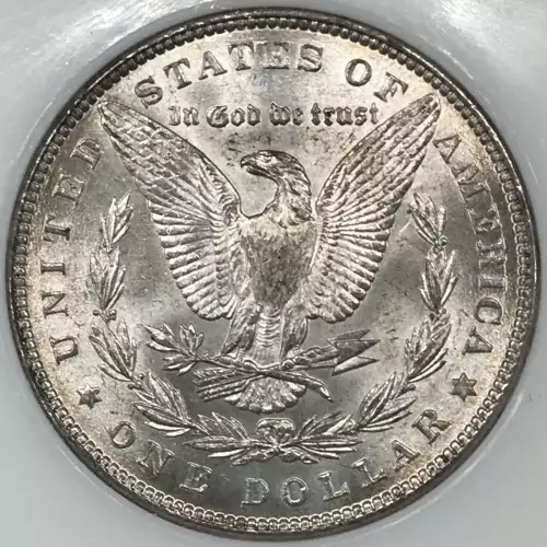 Morgan Silver Dollar (5)