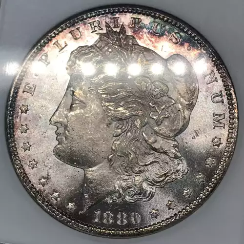 Morgan Silver Dollar (2)