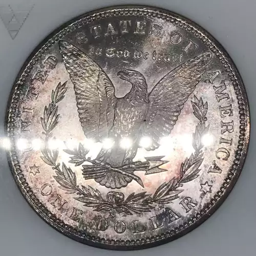 Morgan Silver Dollar (4)