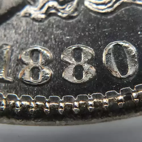 Morgan Silver Dollar (5)