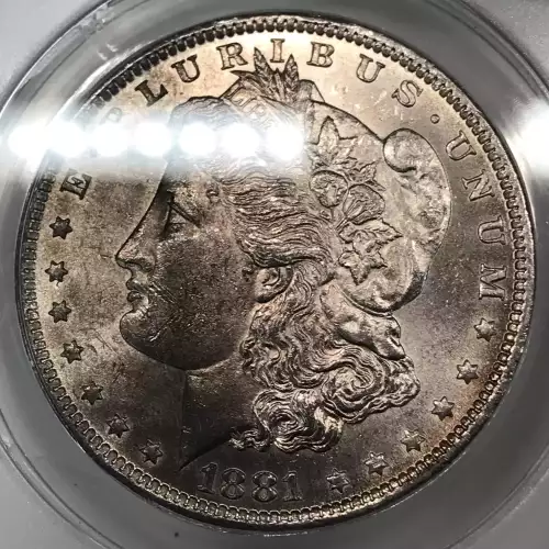 Morgan Silver Dollar (2)