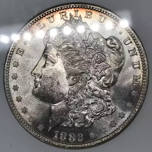 Morgan Silver Dollar (3)