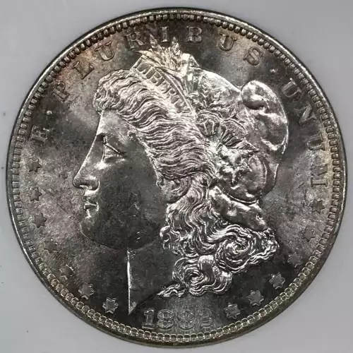 Morgan Silver Dollar (5)