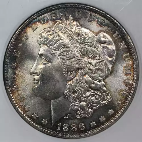 Morgan Silver Dollar (4)
